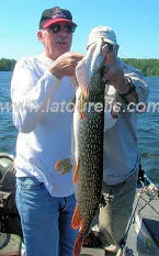 Northern Pike